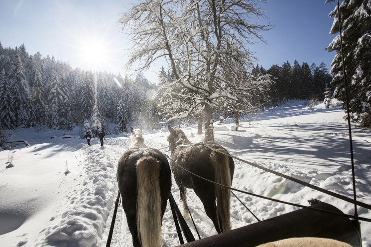 Traumhafte Winterlandschaft in Baiersbronn.