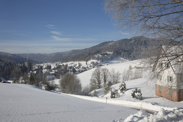 Winterliche Landschaft im Ortsteil Obertal