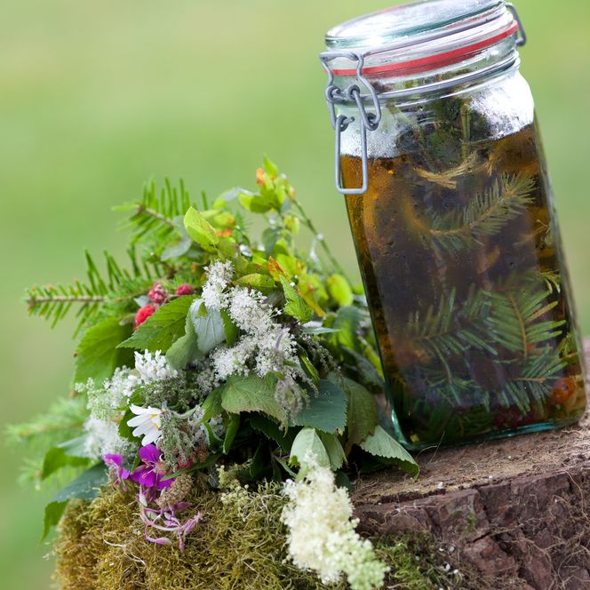 Kräuterlimonade aus eingelegten Wildkräutern der Region