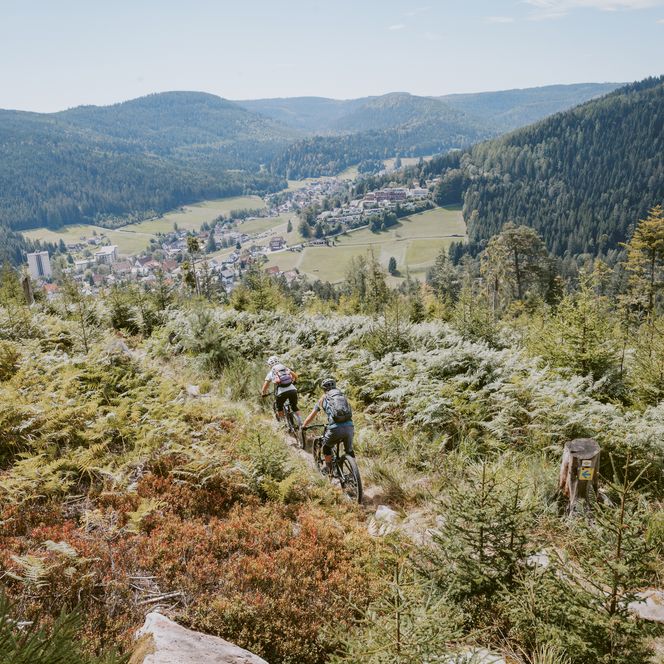 Zwei Frauen fahren auf einem Trail im Baiersbronner Bikehimmel mit einer Aussicht auf Obertal