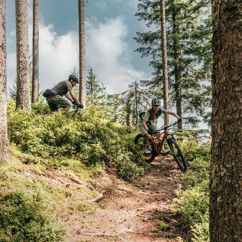 Zwei Mountainbiker fahren auf einem Trail im Baiersbronner Bikehimmel