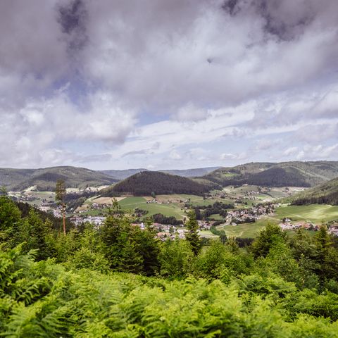Aussicht von der Zimmerplatzhütte auf Baiersbronn, Tonbach und den Rinkenberg