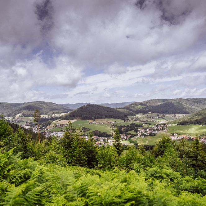 Aussicht von der Zimmerplatzhütte auf Baiersbronn, Tonbach und den Rinkenberg