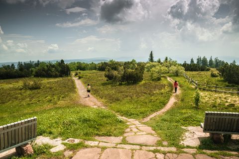 Zwei Personen wandern auf dem Schliffkopfgipfel auf schmalen Pfaden.