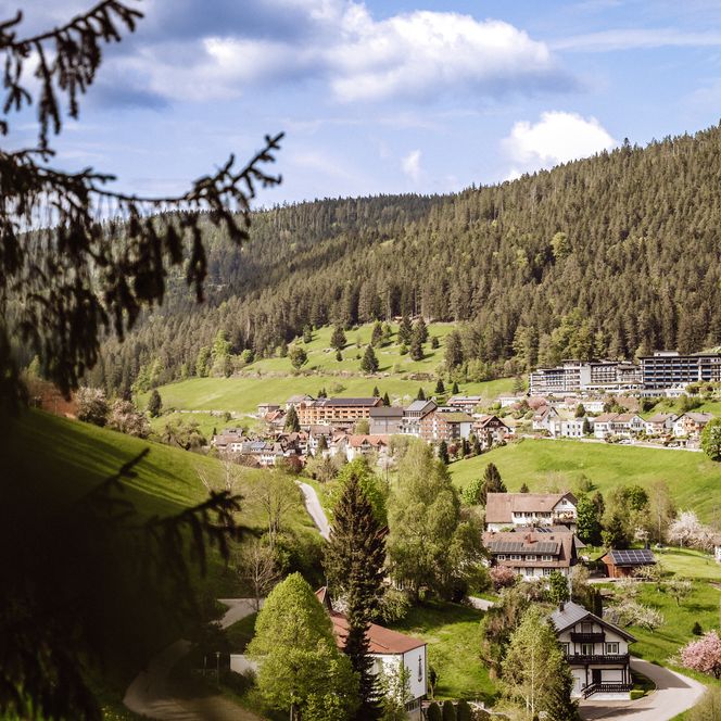 Ortsansicht von Tonbach mit Blick auf die Hotels Tanne und Traube Tonbach