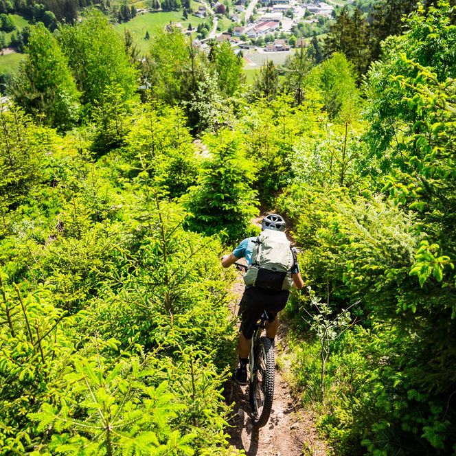 Eine Person fährt einen schmalen Trail durch den Wald im Baiersbronner Bikehimmel