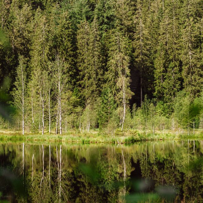 Buhlbachsee in Baiersbronn-Buhlbach