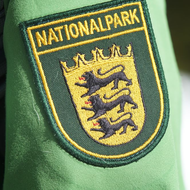 Nationalpark-Wappen auf der Kleidung der Rangerin des Nationalparks Schwarzwald