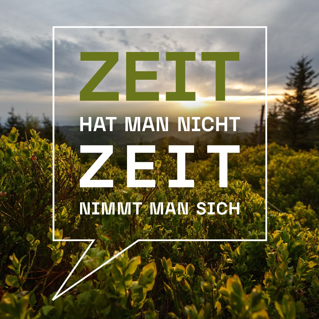 Landschaftsfoto auf dem ein Schriftzug eingearbeitet ist. Dieser lautet: Zeit hat man nicht, Zeit nimmt man sich.
