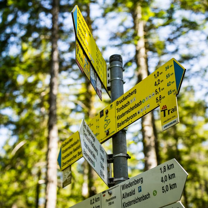 Wegweiser mit der Ausschilderung von einigen Wanderwegen und Trails in Baiersbronn