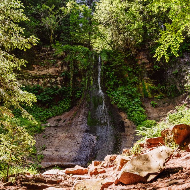 Sankenbachwasserfall am nahegelegenen Sankenbachsee in Baiersbronn