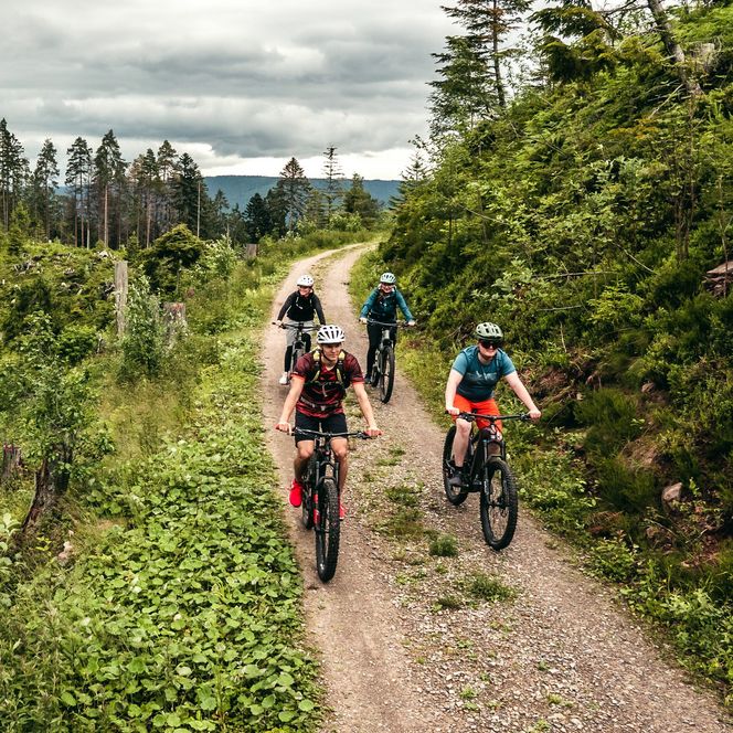 Mountainbiker fahren auf einem Waldweg zum Huzenbacher See