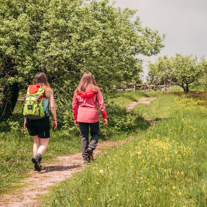 Zwei Frauen wandern durch die Grinden am Schliffkopf im Nationalpark Schwarzwald