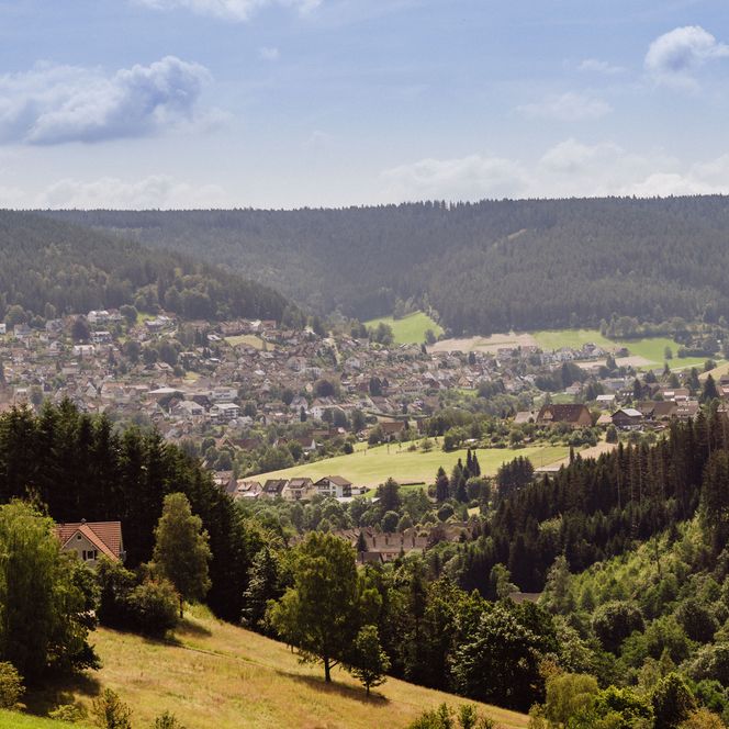 Ortsansicht und Landschaft von Mitteltal