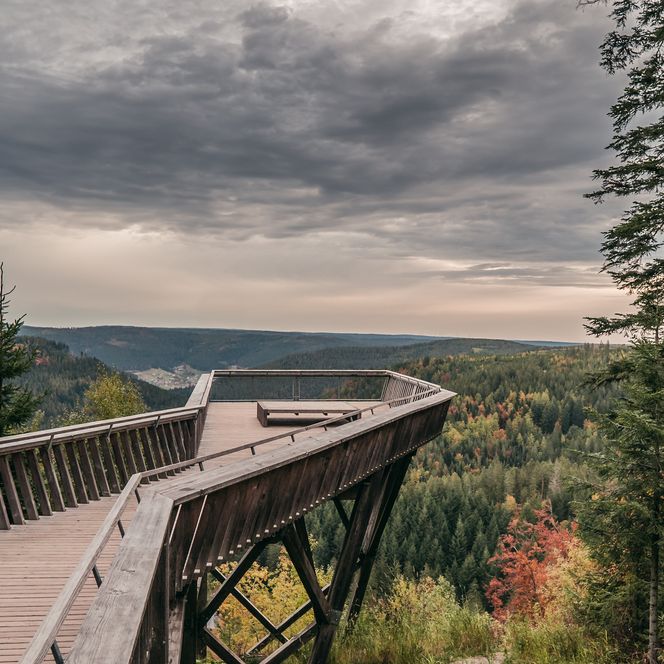 Aussichtsplattform Ellbachseeblick in Baiersbronn