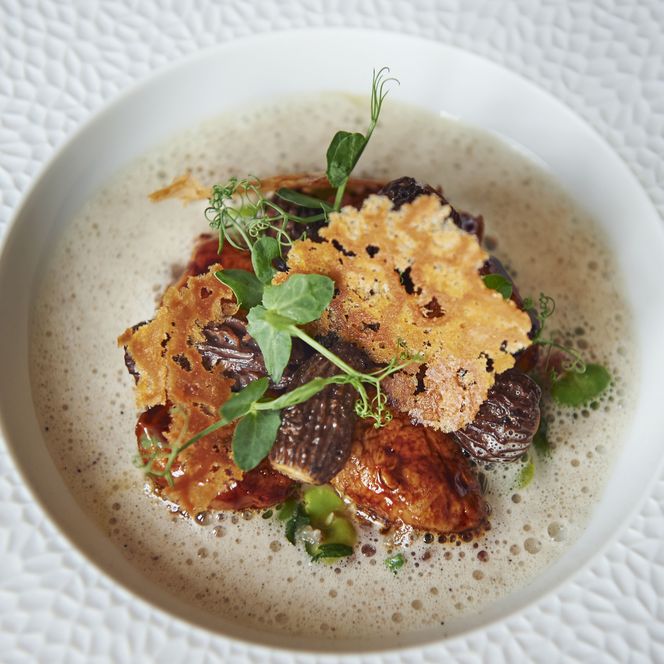 Gericht der Sterneküche auf einem Teller angerichtet