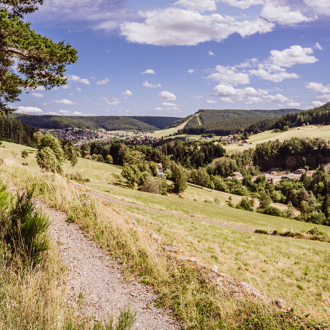 Landschaft in Baiersbronn mit Blick auf den Stöckerkopf