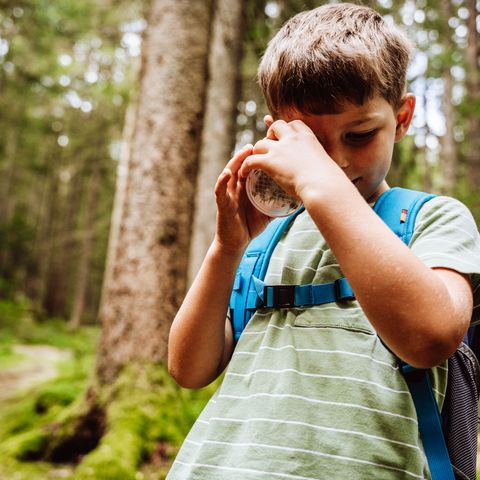 Kind beim Beobachten eines Insekts durch eine Becherlupe in der Natur