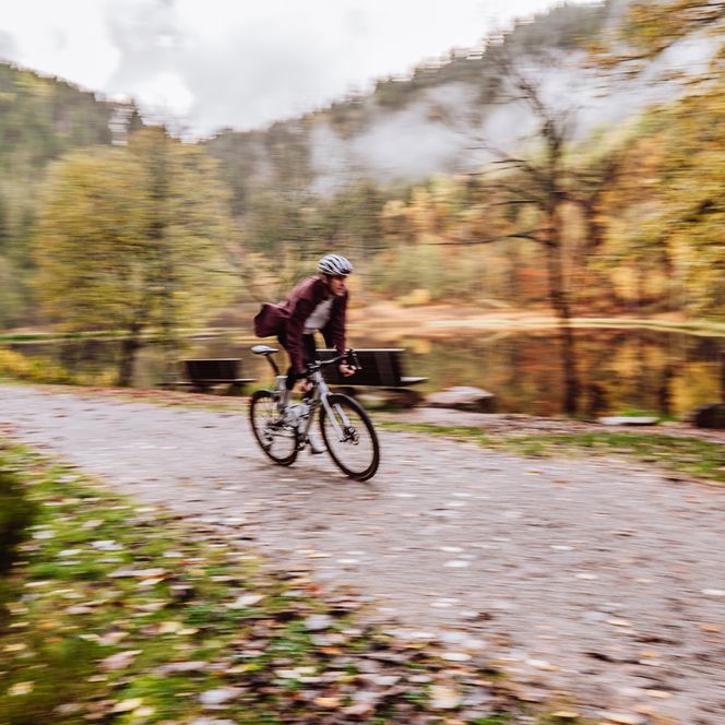 Eine Person fährt mit dem Gravelbike auf einem Waldweg am Sankenbachsee in Baierbsbronn