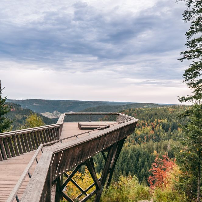 Aussichtsplattform Ellbachseeblick im Nationalpark Schwarzwald