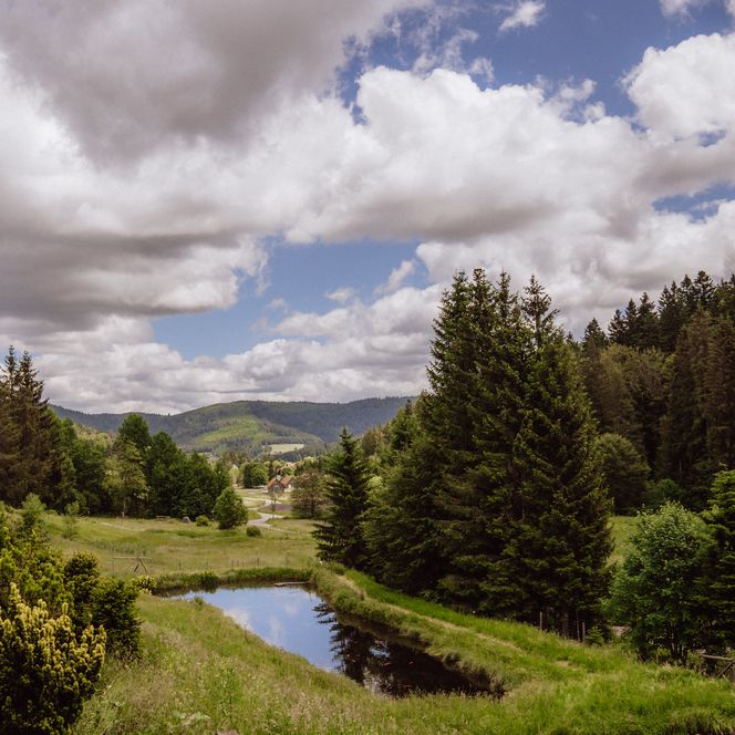 Zuchtbecken des Forellenhof in Buhlbach