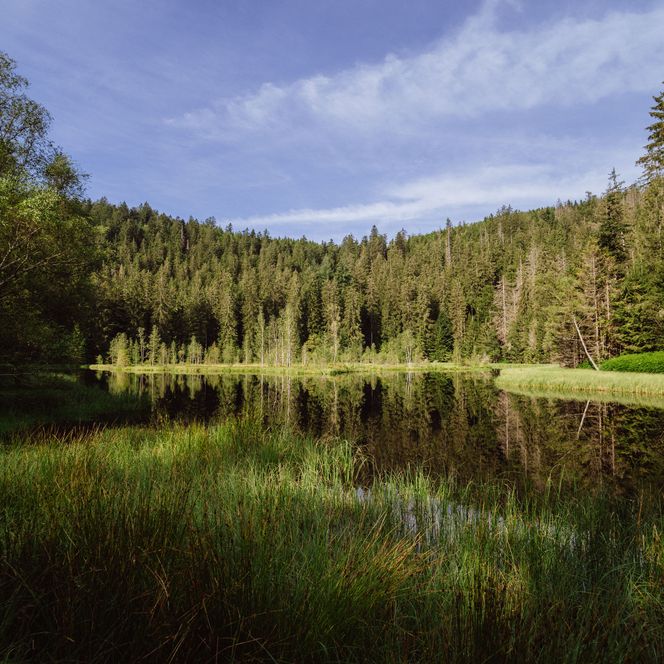 Buhlbachsee in Obertal-Buhlbach
