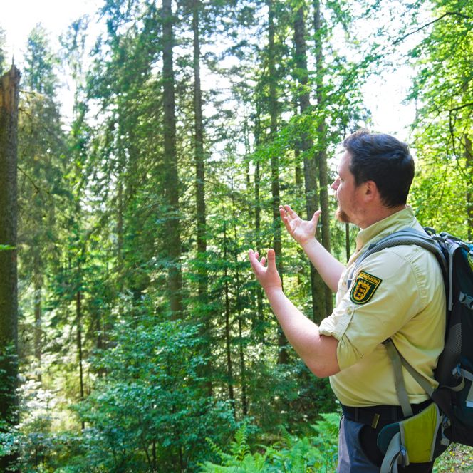 Ein Ranger des Nationalparks Schwarzwald erklärt Wissenswertes über die Natur