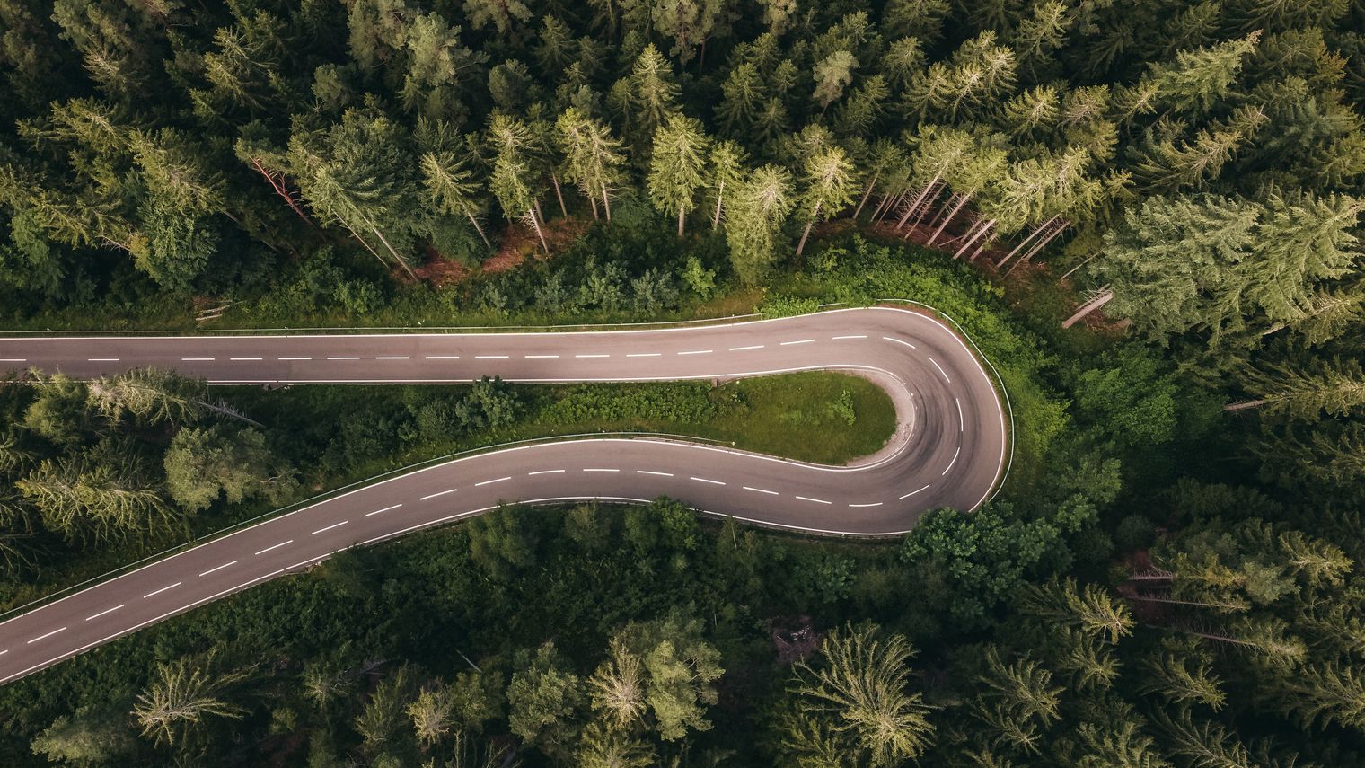 Eine Kehre der Schwarzwaldhochstraße im Schwarzwald