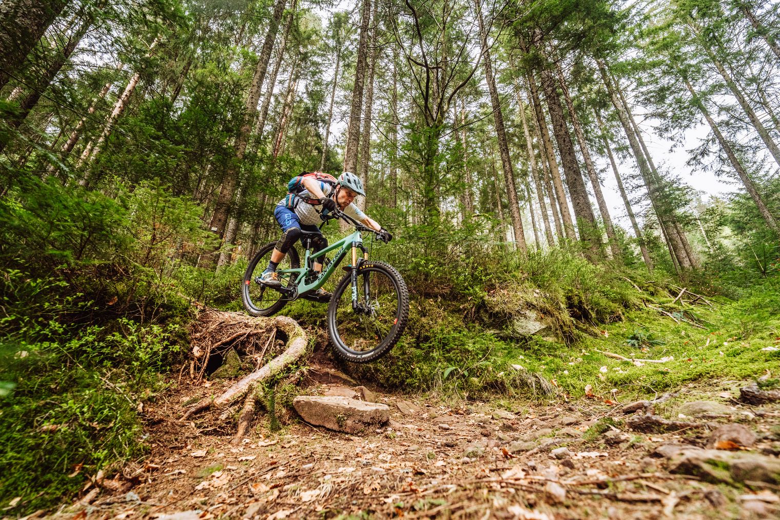 Eine Person fährt einen Mountainbike-Trail im Baiersbronner Bikehimmel im Wald