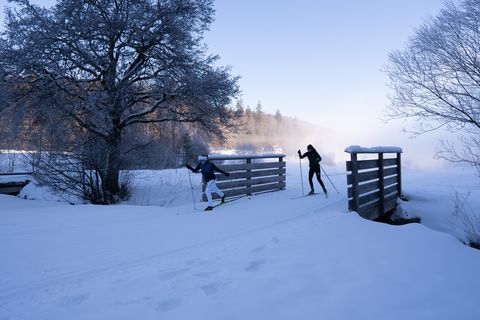 Zwei Langläuferinnen auf der Loipe in Obertal-Buhlbach.