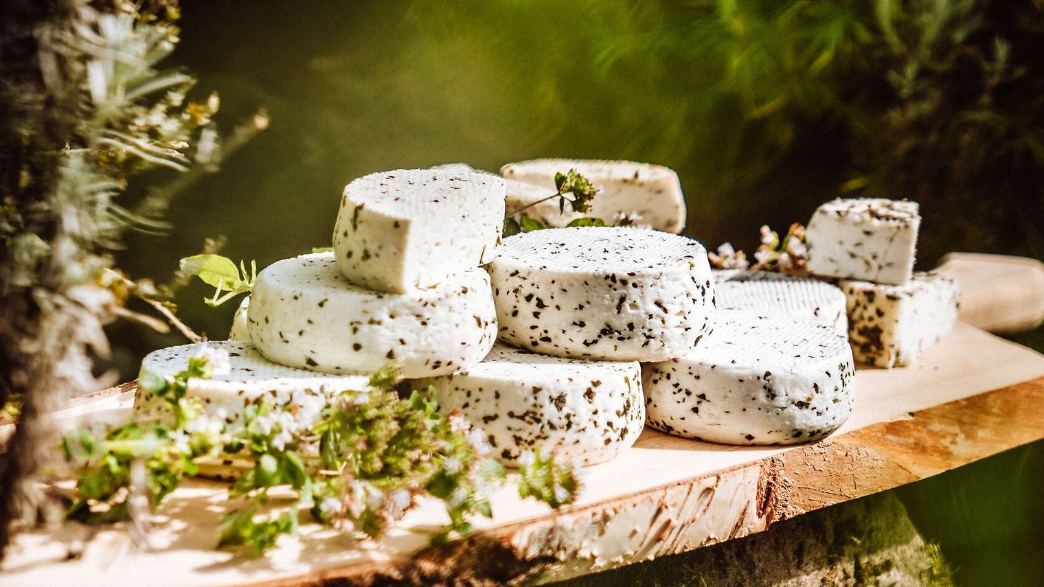 Ziegenkäse mit Dost, ein Baiersbronner Schatz, auf einem Holzbrett im Wald.