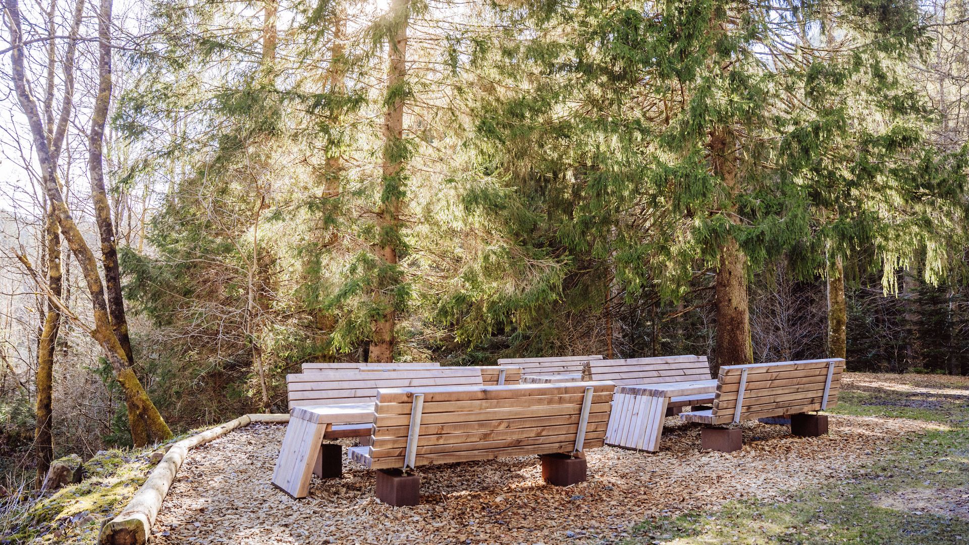 Sitzgelegenheiten an der Ellbachhütte in Baiersbronn-Mitteltal