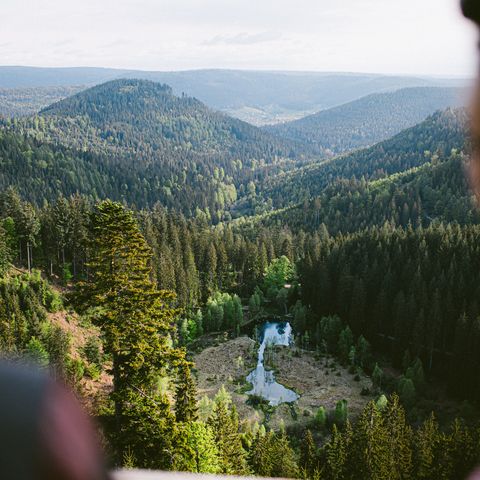 Blick von der Aussichtsplattform auf den Ellbachsee in Mitteltal