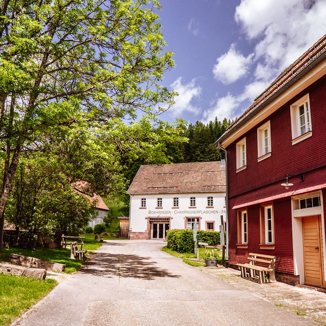 Gelände des Kulturparks Glashütte in Buhlbach