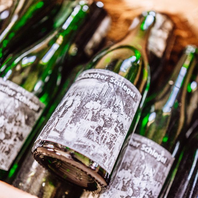 Einige Buhlbacher Schlegel