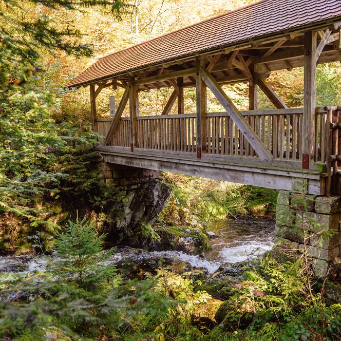 Überdachte Holzbrücke an der Teufelsmühle im Wald in Obertal