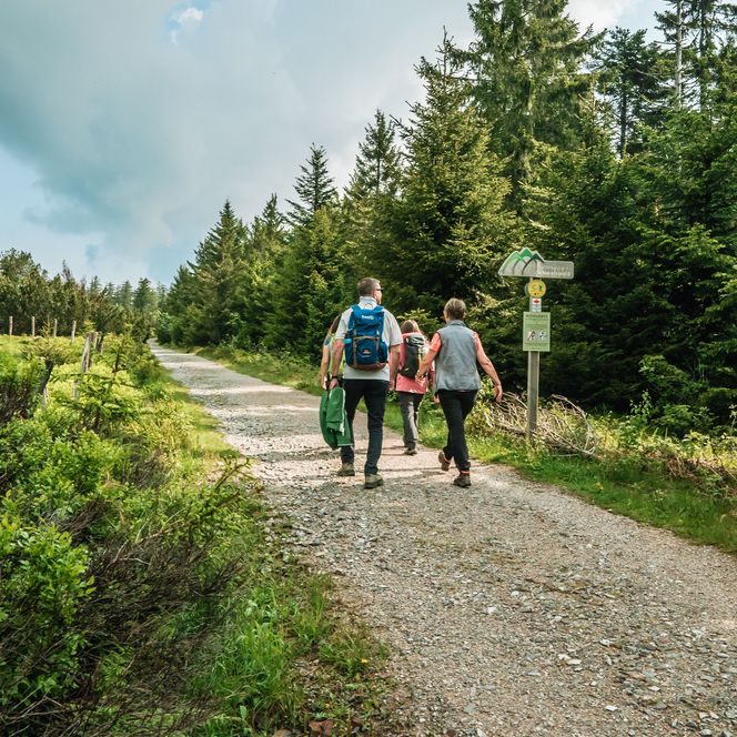 Wanderer unterwegs im Nationalpark Schwarzwald