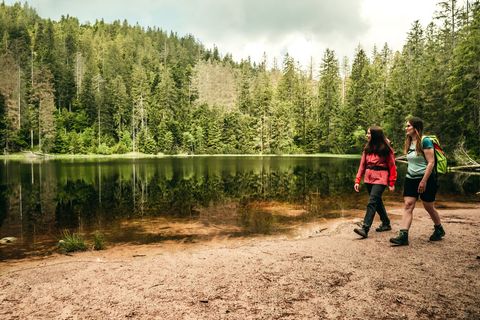 Zwei Frauen wandern am Wildsee entlang, welcher im Nationalpark Schwarzwald liegt.
