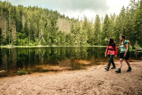 Zwei Frauen wandern am Wildsee entlang. Dieser befindet sich im Nationalpark Schwarzwald.