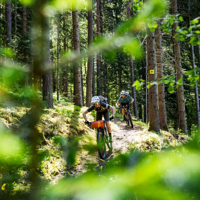Zwei Mountainbiker fahren einen Trail im Bikehimmel Baiersbronn