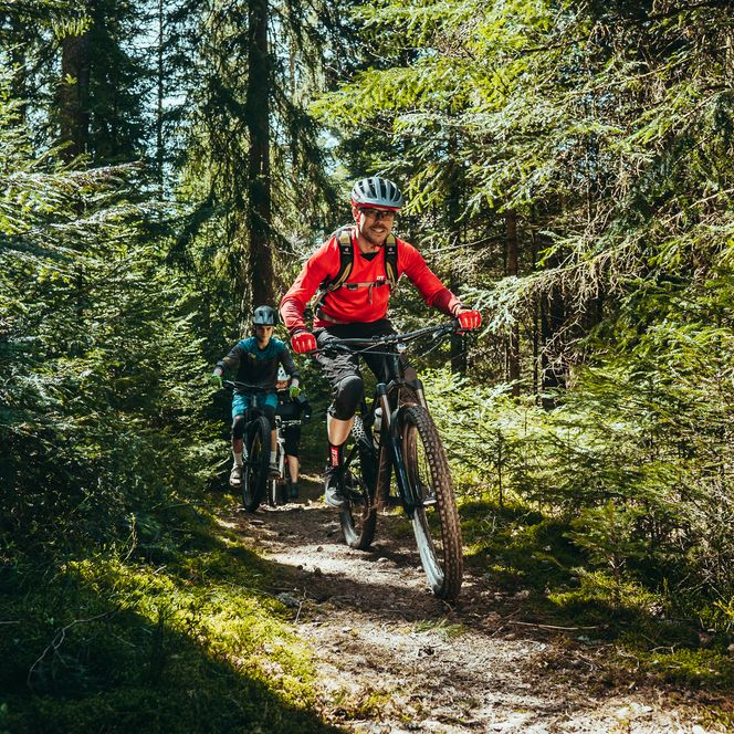 Zwei Mountainbiker fahren auf dem Schönblick-Trail in Baiersbronn