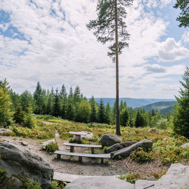 Rastplatz für Wanderer und Mountainbiker am Priorstein in Tonbach