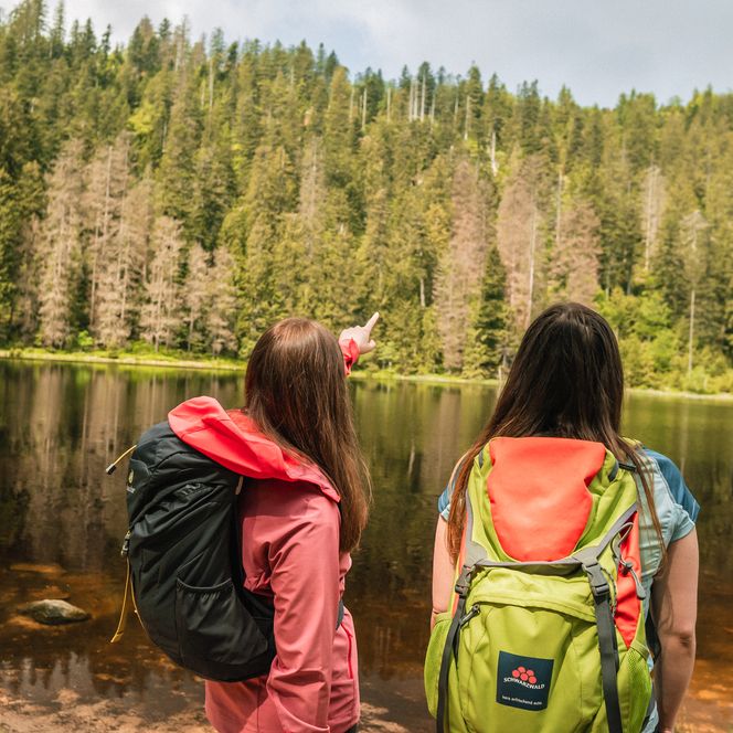 Wanderer am Wildsee im Nationalpark Schwarzwald