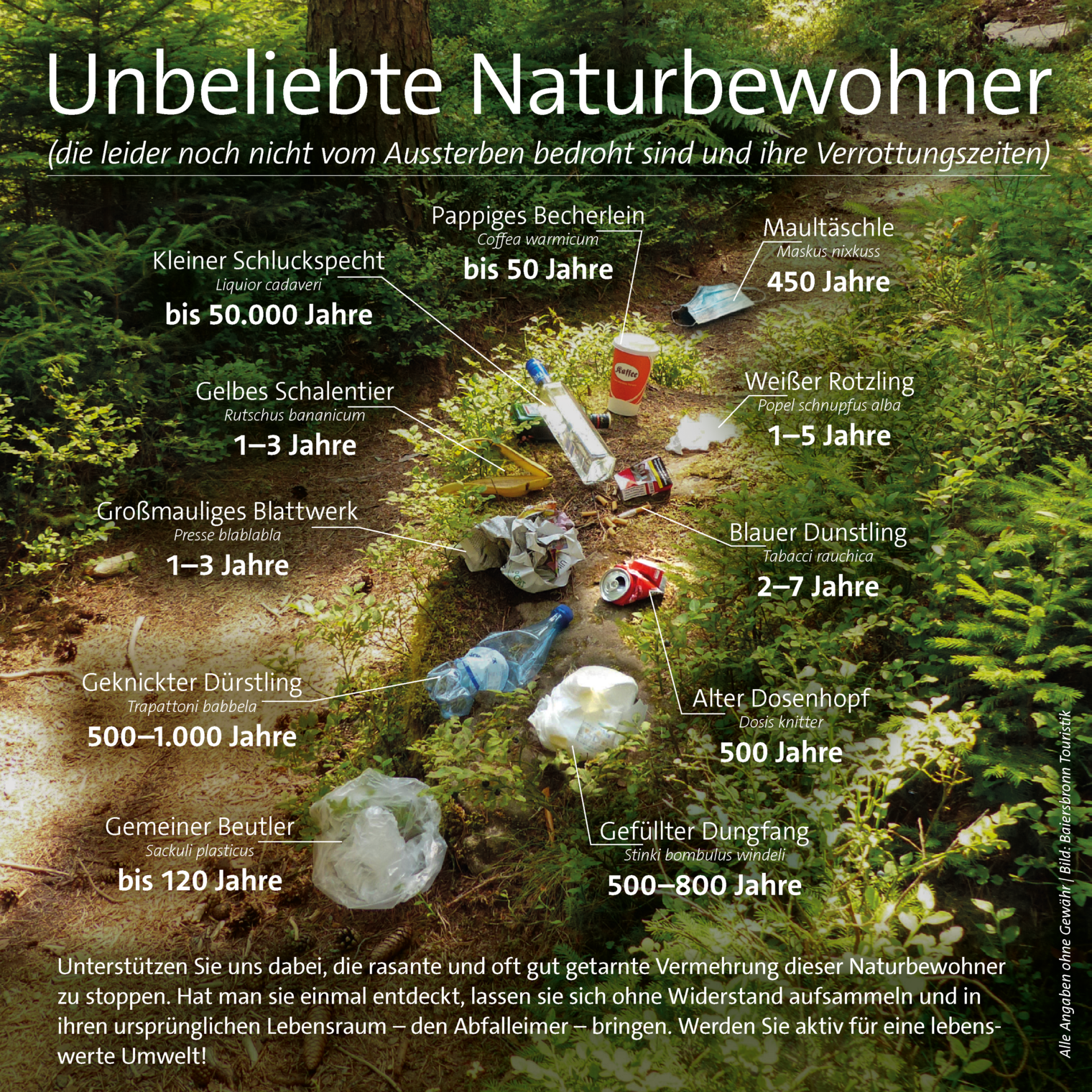 Müllplakat der Baiersbronn Touristik. 
