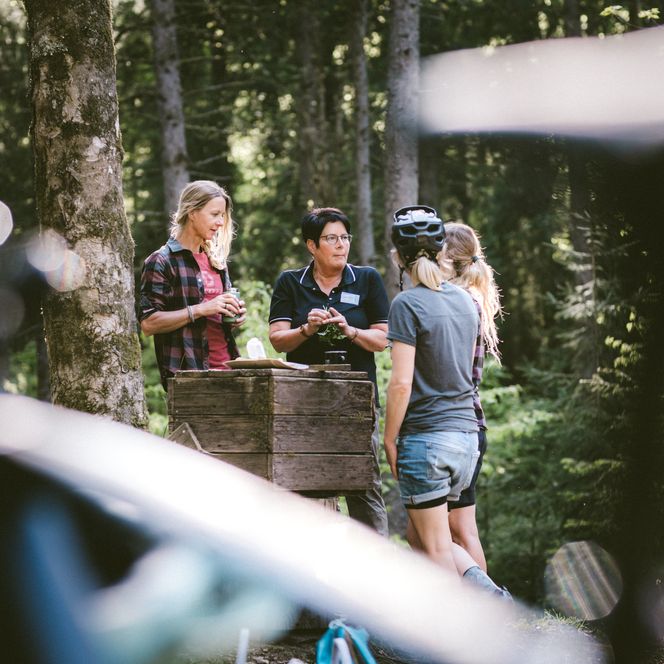 Drei Gravelbikerinnen bei einer Wildpflanzenführung in Baiersbronn