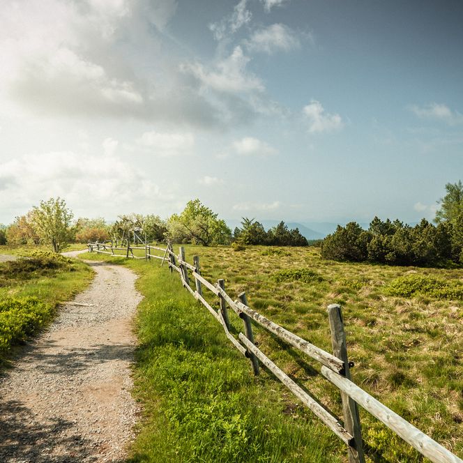 Wanderweg durch die Grinde am Schliffkopf
