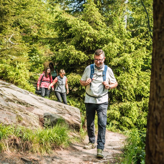 Wanderer laufen zum Wildsee im Nationalpark Schwarzwald