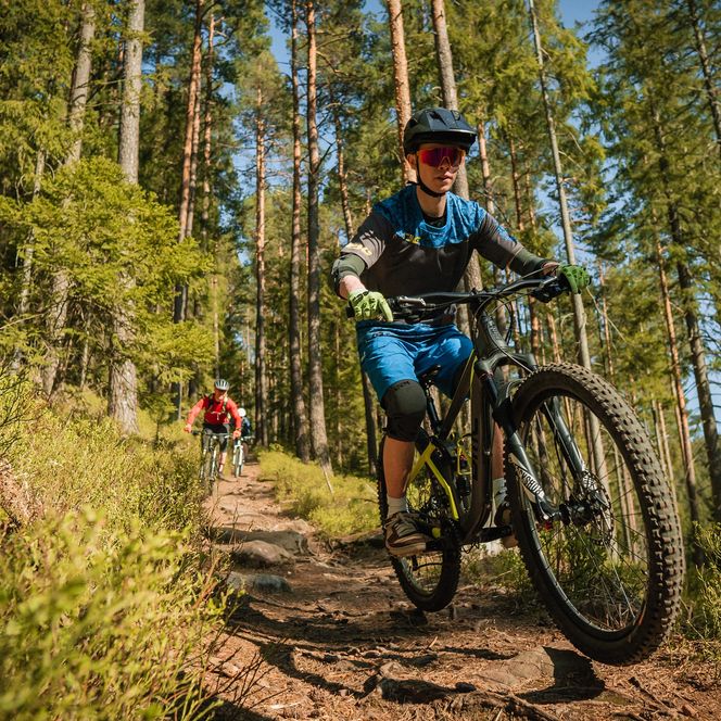 Mountainbiker fahrern auf dem Schönblick-Trail im Baiersbronner Bikehimmel