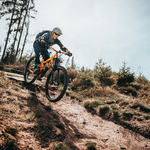 Ein Mountainbiker fährt auf dem Walterhütten-Trail in Baiersbronn