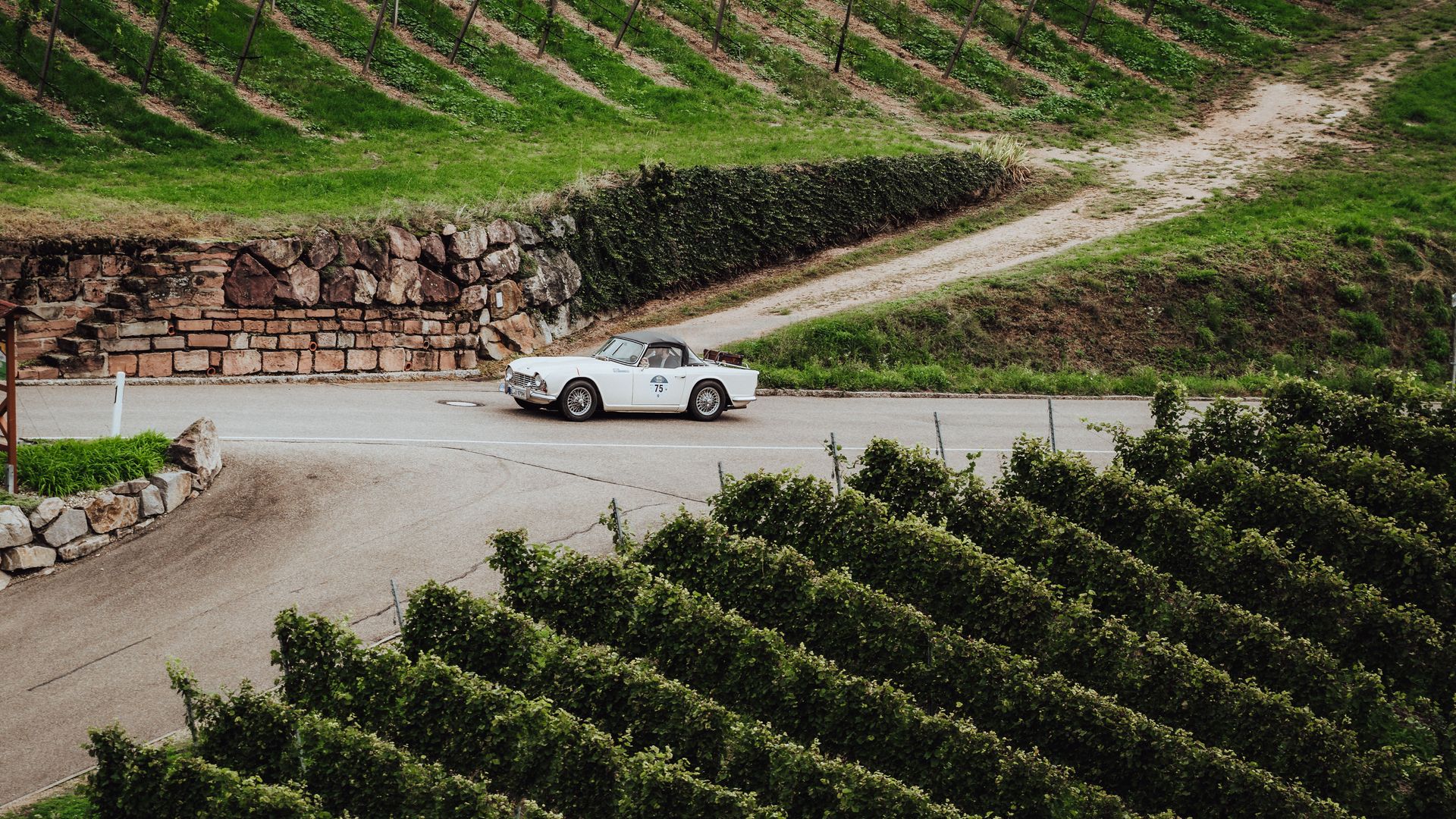 Ein weißer Oldtimer fährt durch die Weinberge bei der Baiersbronn Classic